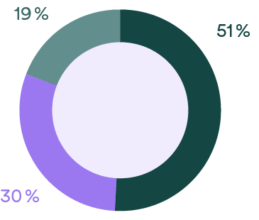 19 %,30 %,51 